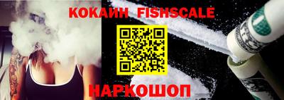 гашик Камышлов