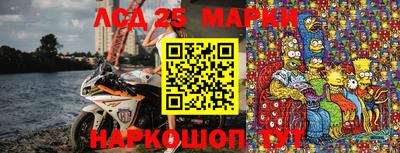 гашик Камышлов