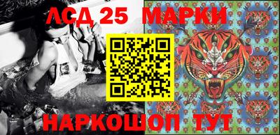 гидра Кандалакша