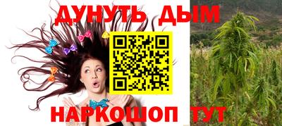 гидра Кандалакша