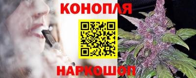 гидра Кандалакша