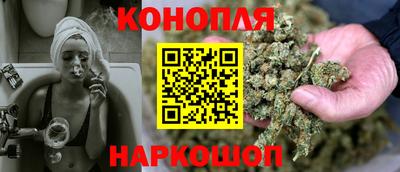 гашик Камышлов