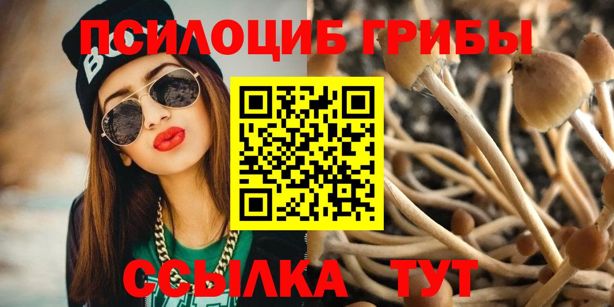 Псилоцибиновые грибы Magic Shrooms  Галлюциногенные грибы Cubensis  Иркутск  купить  цена  Вход с VPN 